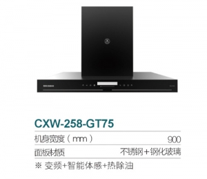 广东CXW-258-GT75