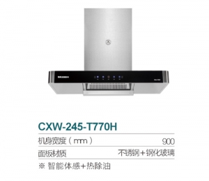 广东CXW-245-T770H