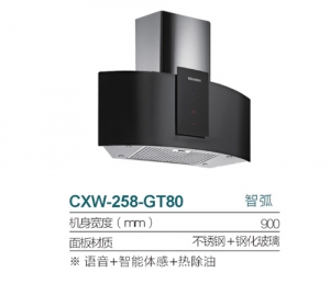 天津CXW-258-GT80