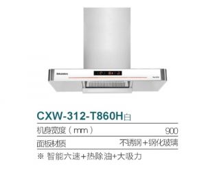 CXW-312-T860H
