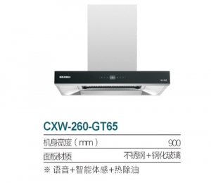 沈阳CXW-260-GT65