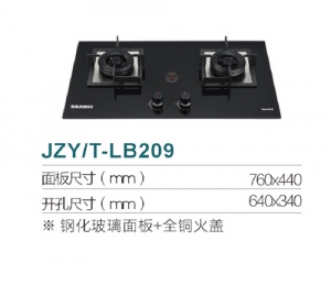 广东JZY/T-LB209