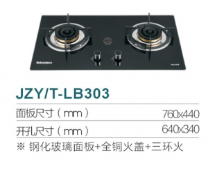 重庆JZY/T-LB303