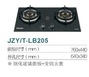 广东JZY/T-LB205