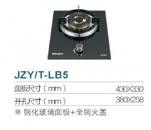 广东JZY/T-LB5