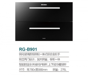 四川RG-B901