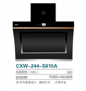 四川CXW-244-S615A