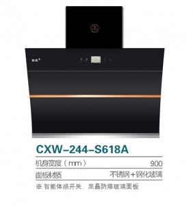 广东CXW-244-S618A