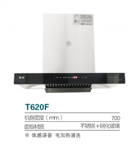 广东T620F