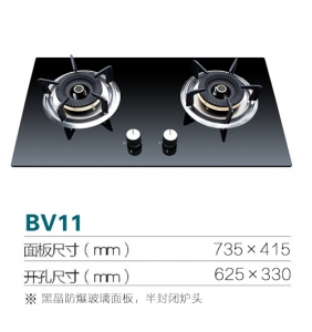 上海BV11