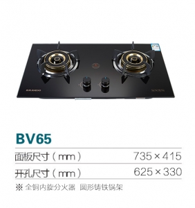 天津BV65