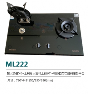重庆ML222