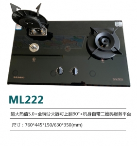 上海ML222