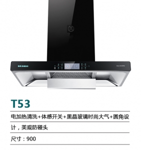 天津T53