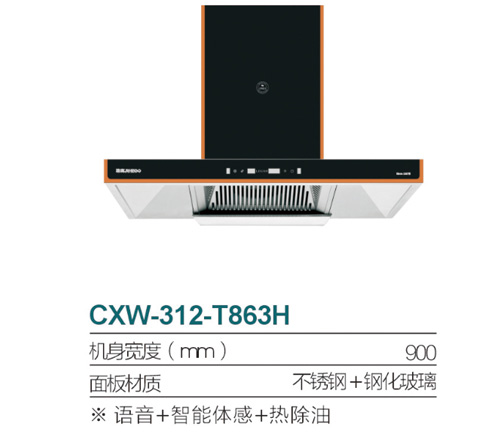 CXW-312-T863H