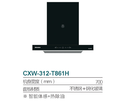 CXW-312-T861H