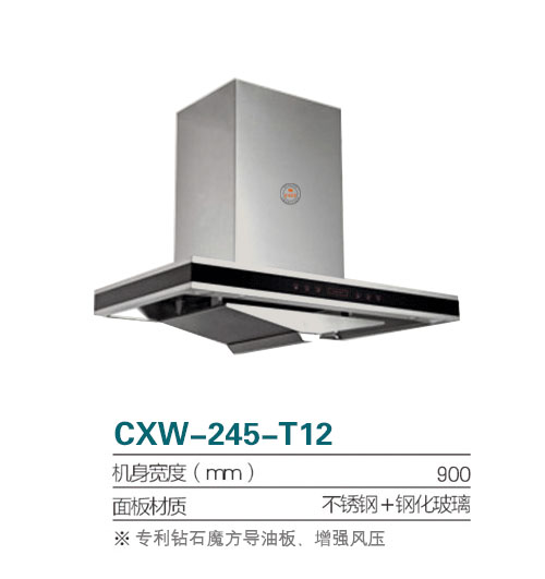 CXW-245-T12