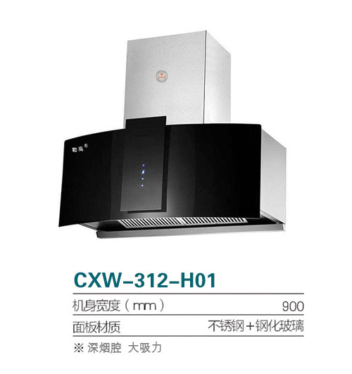 CXW-312-H01