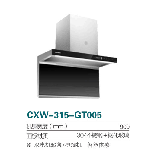 CXW—315—GT005